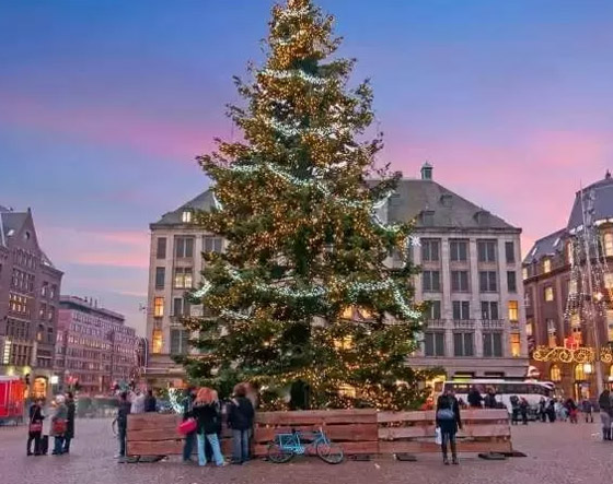 عادات الزواج في هولندا، وثقافة هذا البلد الأوروبي الجميل صورة رقم 2