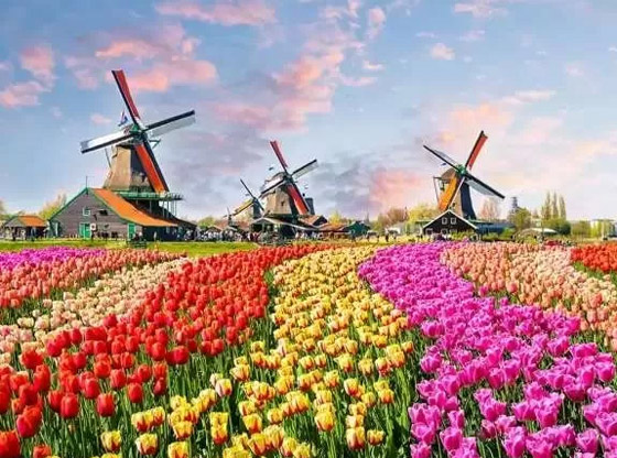 عادات الزواج في هولندا، وثقافة هذا البلد الأوروبي الجميل صورة رقم 3