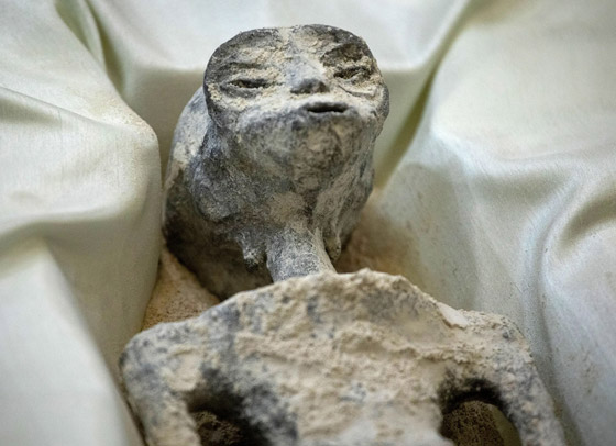 أغرب فيديوهات 2023.. زومبي ودبة بشرية وكائنات غريبة صورة رقم 3