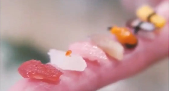 بحبة أرز واحدة.. طبق سوشي غريب يشغل اليابان صورة رقم 1