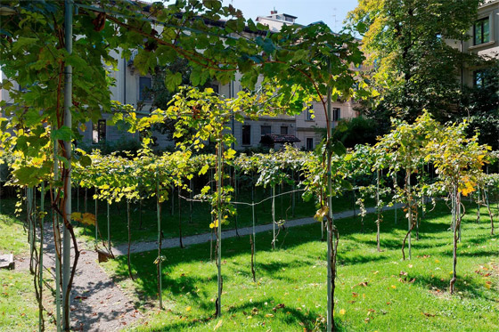 مع اقتراب نهاية عام 2023.. 8 وجهات لن تتمكنوا من زيارتها عام 2024 صورة رقم 8