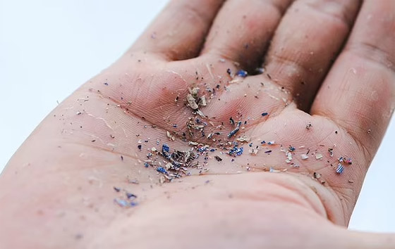 ابتكار مغناطيس يلتقط المواد البلاستيكية الدقيقة في الماء صورة رقم 8