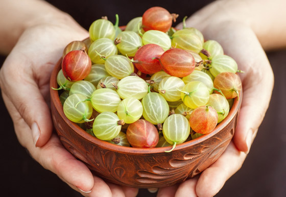 غني بفيتامين سي.. 10 أسباب لتناول (عنب الثعلب الهندي) صورة رقم 3