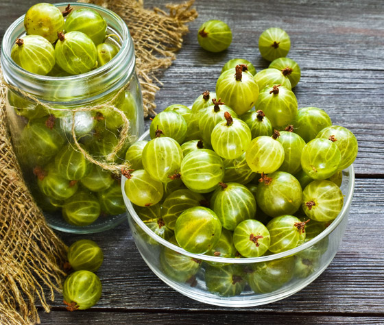 غني بفيتامين سي.. 10 أسباب لتناول (عنب الثعلب الهندي) صورة رقم 2