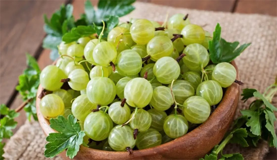 غني بفيتامين سي.. 10 أسباب لتناول (عنب الثعلب الهندي) صورة رقم 1