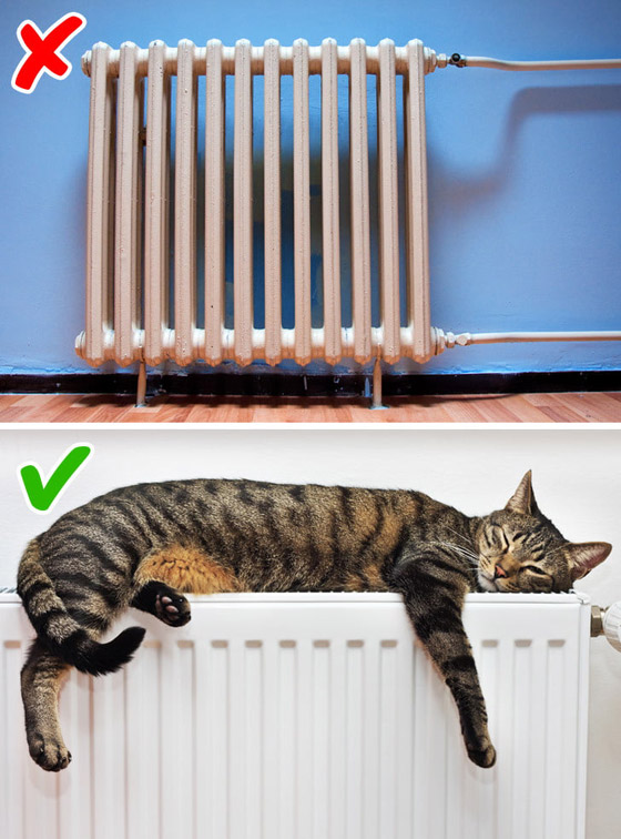 أخطاء تجديد المنزل.. 7 أشياء لابد من تجنبها! صورة رقم 3