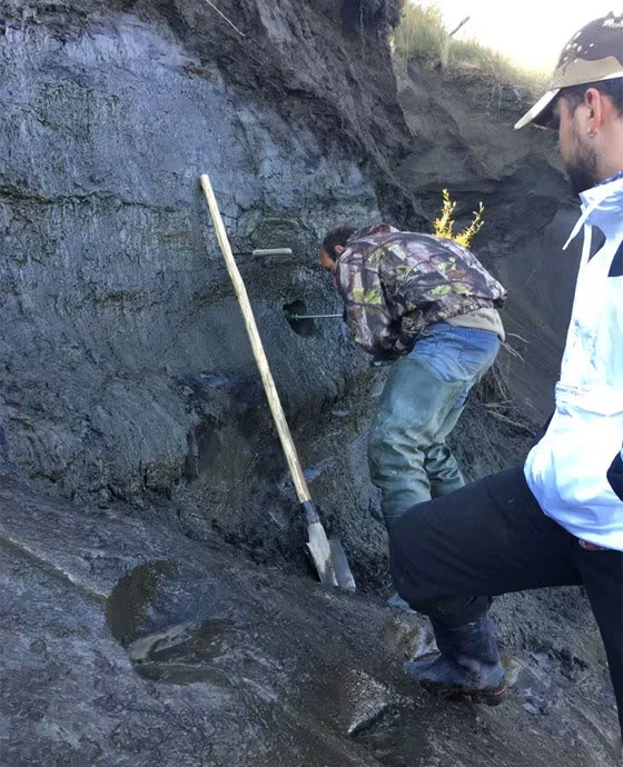 فيروس الزومبي وطائر منقرض..هكذا أعاد العلماء إحياء الماضي في 2023 صورة رقم 2