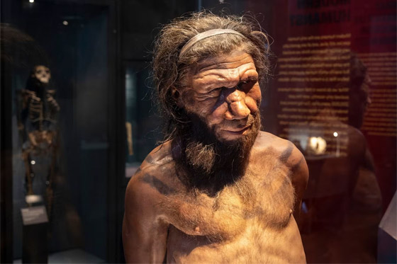 فيروس الزومبي وطائر منقرض..هكذا أعاد العلماء إحياء الماضي في 2023 صورة رقم 3