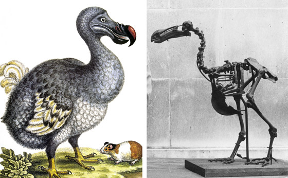 فيروس الزومبي وطائر منقرض..هكذا أعاد العلماء إحياء الماضي في 2023 صورة رقم 6