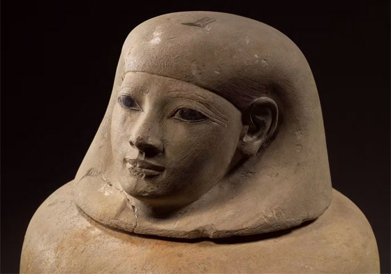 فيروس الزومبي وطائر منقرض..هكذا أعاد العلماء إحياء الماضي في 2023 صورة رقم 7