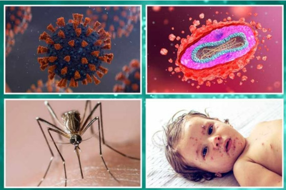 تعرف على أكبر 4 تهديدات صحية في العالم خلال 2024 صورة رقم 5