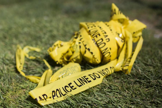 حصاد 2023.. أبرز 10 إيجابيات بعيداً عن الكوارث والأزمات صورة رقم 5