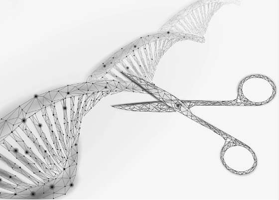 حصاد 2023.. أبرز 10 إيجابيات بعيداً عن الكوارث والأزمات صورة رقم 9