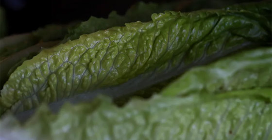 لمرضى السكري.. 