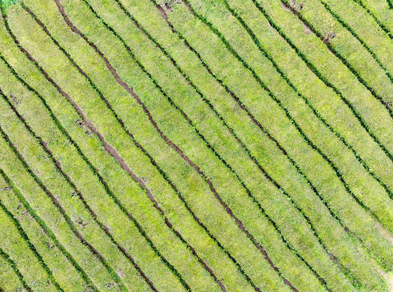 الخطوط البيضاء في الجسم تزعجكِ؟.. اكتشفي طرق علاجها صورة رقم 4