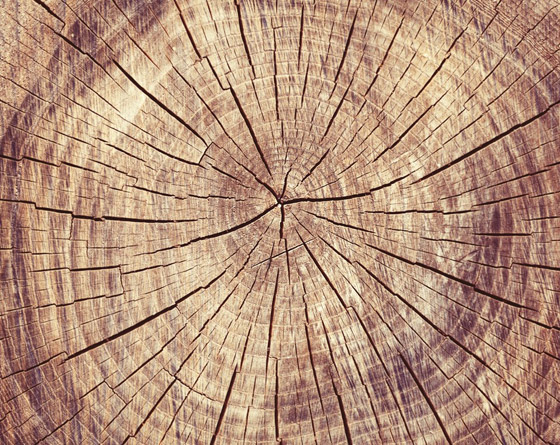 الخطوط البيضاء في الجسم تزعجكِ؟.. اكتشفي طرق علاجها صورة رقم 5