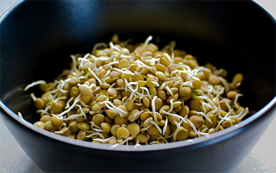 7 أطعمة خفيفة صحية بين الوجبات تحفز إنقاص الوزن صورة رقم 7