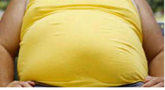 يزيد حجم الكرش بدلا من إنقاصه.. تجنبوا هذا النظام الغذائي صورة رقم 4