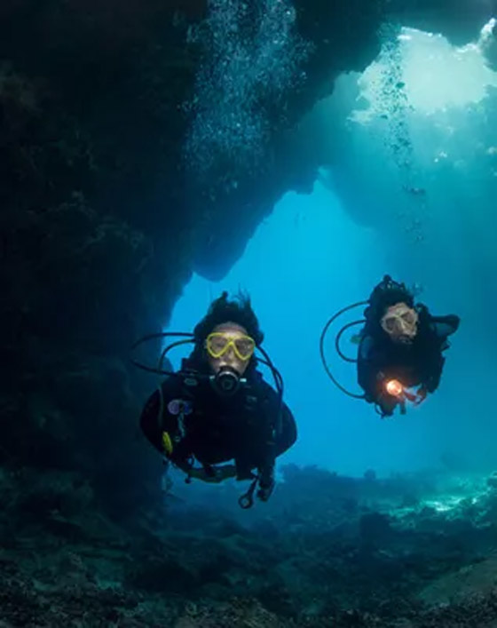 (أشبه بالحلم).. غواص يستكشف كهوف بحرية عمرها آلاف السنين بالسعودية صورة رقم 7