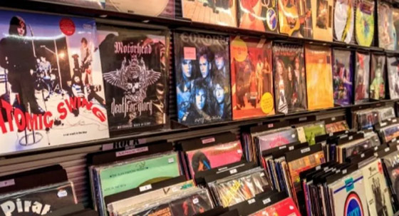 9 أشياء في طريقها إلى الانقراض عن وجه الأرض! صورة رقم 5