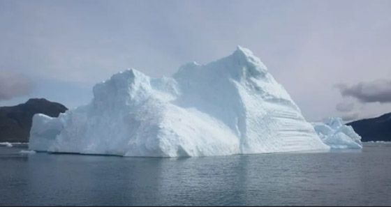 9 أشياء في طريقها إلى الانقراض عن وجه الأرض! صورة رقم 8