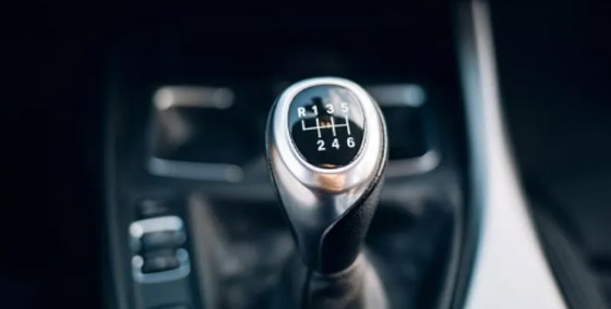 9 أشياء في طريقها إلى الانقراض عن وجه الأرض! صورة رقم 9