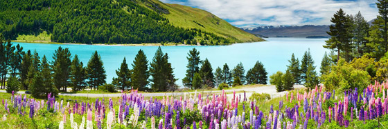 نصائح ومعلومات مفيدة للمسافرين عند السياحة في نيوزيلندا صورة رقم 4