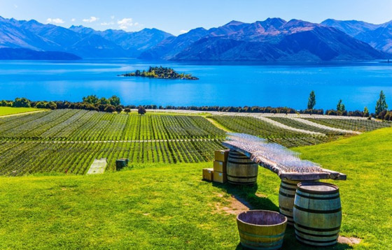 نصائح ومعلومات مفيدة للمسافرين عند السياحة في نيوزيلندا صورة رقم 5