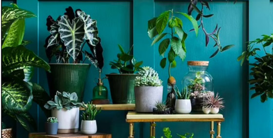 حيل رائعة تجعل منزلك يبدو راقياً وفاخراً بميزانية معقولة صورة رقم 1