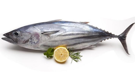  ���� ��� 5 - ���� ����� ���� ����� �������� ������� �� ������ !