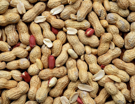 رغم التوصيات بتناولها نيئة.. هذه المكسرات خارج المعادلة صورة رقم 6