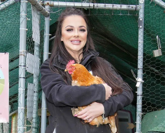 فندق خاص بالدجاج.. تتناول طعامها على موسيقى بيونسيه صورة رقم 5