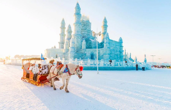 صور: رحلة شتوية ممتعة إلى مدينة هاربين الجليدية في الصين صورة رقم 1