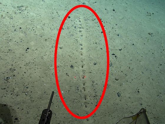 علماء يحلون لغز (الثقوب الغريبة) في أعماق المحيطات صورة رقم 1