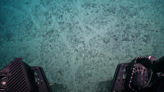 علماء يحلون لغز (الثقوب الغريبة) في أعماق المحيطات صورة رقم 3