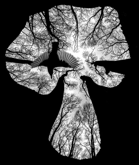 صور مدهشة: عجائب الطبيعة الخفية تتجلى بهذه الصور المقربة صورة رقم 4