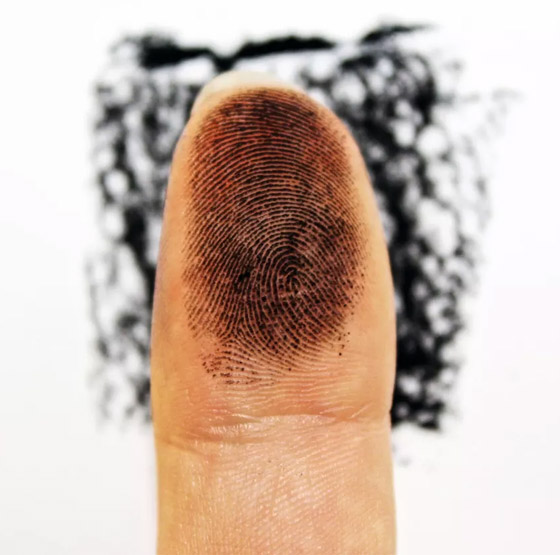 اكتشاف مثير حول (بصمة الإصبع) قد يدمر ملايين البيانات صورة رقم 1