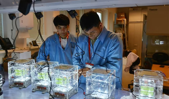 اختراق علمي لأصغر نبات على الأرض يعيش في الفضاء.. صور صورة رقم 10