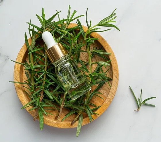 زيت إكليل الجبل.. علاج الأجداد لتطويل الشعر بشكل أسرع وأكثر سمكا صورة رقم 4