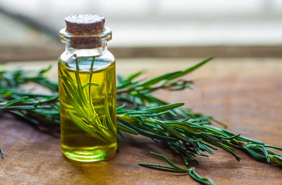 زيت إكليل الجبل.. علاج الأجداد لتطويل الشعر بشكل أسرع وأكثر سمكا صورة رقم 2