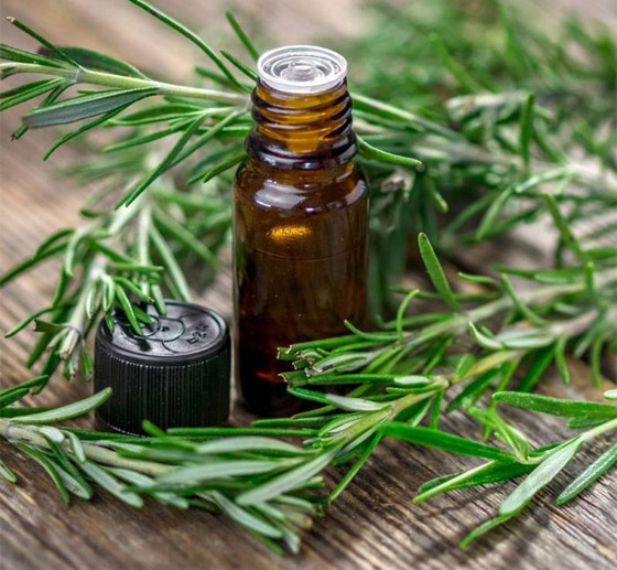 زيت إكليل الجبل.. علاج الأجداد لتطويل الشعر بشكل أسرع وأكثر سمكا صورة رقم 5