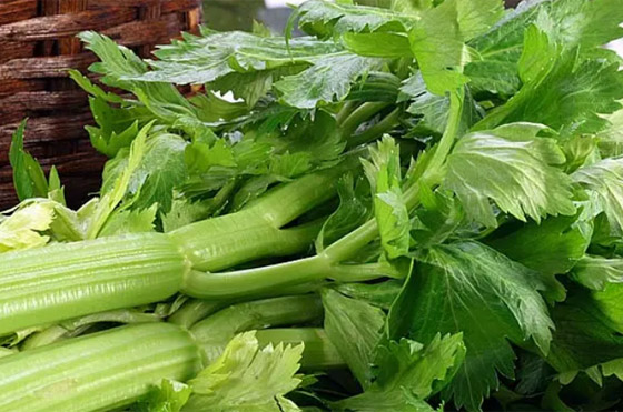 6 أسباب تبرر الفوائد الصحية لتناول عصير الكرفس صورة رقم 1