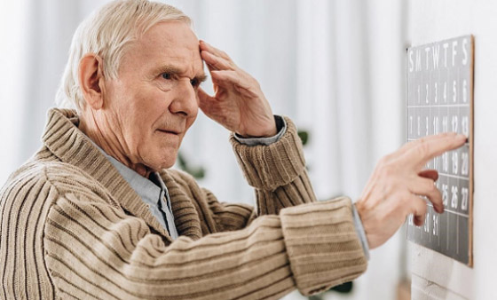 بشرى سارة.. اقتناء الحيوانات الأليفة يقي من الخرف صورة رقم 4