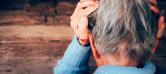 بشرى سارة.. اقتناء الحيوانات الأليفة يقي من الخرف صورة رقم 5