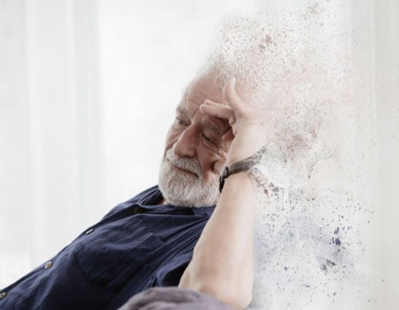 بشرى سارة.. اقتناء الحيوانات الأليفة يقي من الخرف صورة رقم 6