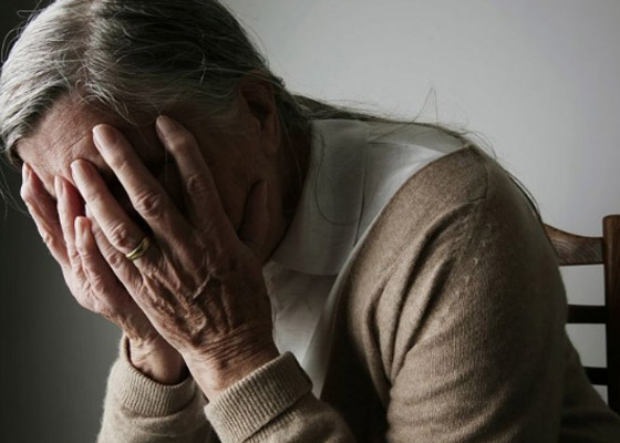 بشرى سارة.. اقتناء الحيوانات الأليفة يقي من الخرف صورة رقم 7