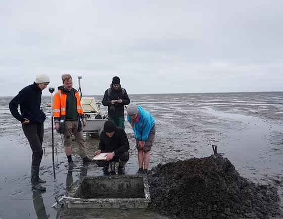 بينها ثونيس هيراكليون في مصر.. مدن غارقة تضاهي أتلانتس المفقودة صورة رقم 8
