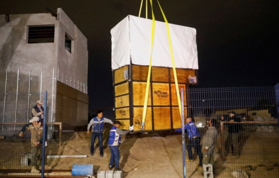 40 ساعة من السفر.. رحلة زرافة بحثاً عن الحب! صورة رقم 2