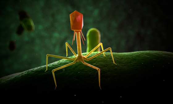 البكتيريا الخارقة.. مرض يهدد بقتل الملايين سنويا بحلول 2050 صورة رقم 1