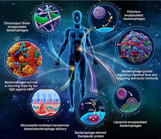 البكتيريا الخارقة.. مرض يهدد بقتل الملايين سنويا بحلول 2050 صورة رقم 6